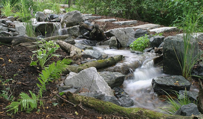 Aquascape علاج المياه للبكتيريا لبدء بركة أكوا سكيب 96013 للبرك وميزات المياه 8 أونصات - Image 4