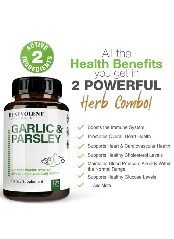 BENEVOLENT NOURISHMENT - Odorless Garlic Pills & Parsley Supplement - 1500 MG Aged Extract Oil Capsules, 120 Softgels, Immunity Support Supplement - Image 1