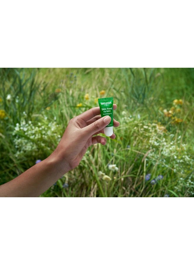 CONCERNING LIFE Skin Food Lip Butter, 0.27 Ounce, Plant Rich Moisturizing Lip Care with Sunflower Seed Oil, Chamomile and Calendula - Image 3