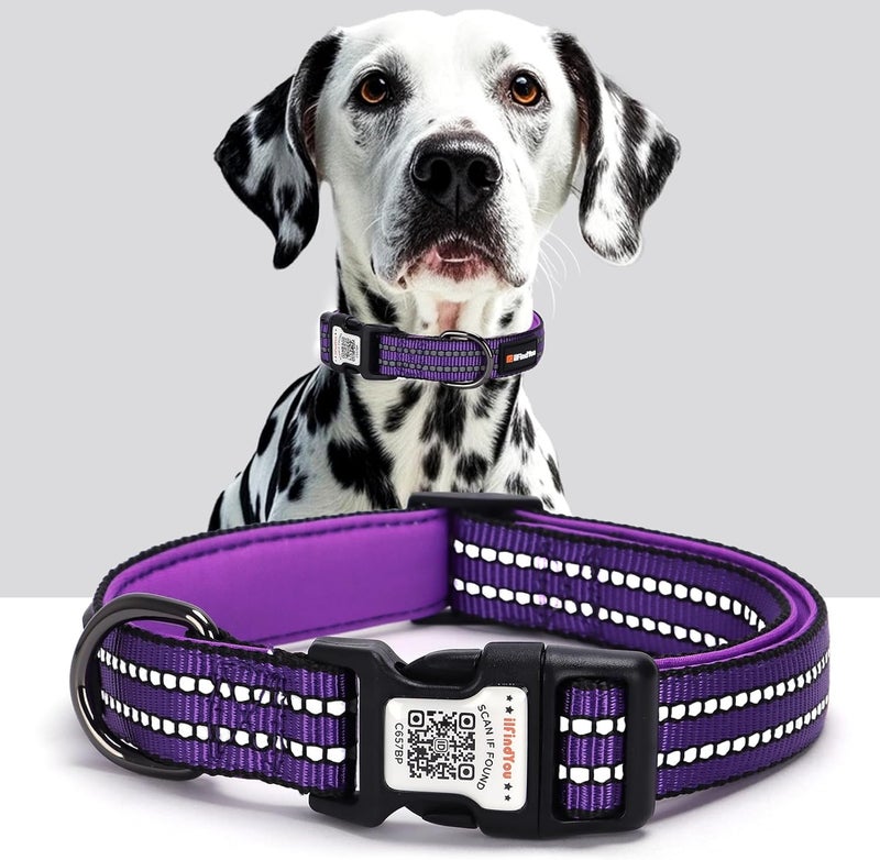 ILFINDYOU Reflective Dog Collar with QR Code Tag, Personalized Dog Collar, Safety Night Visibility, Anti-Loss Function (Purple, Large) - Image 1