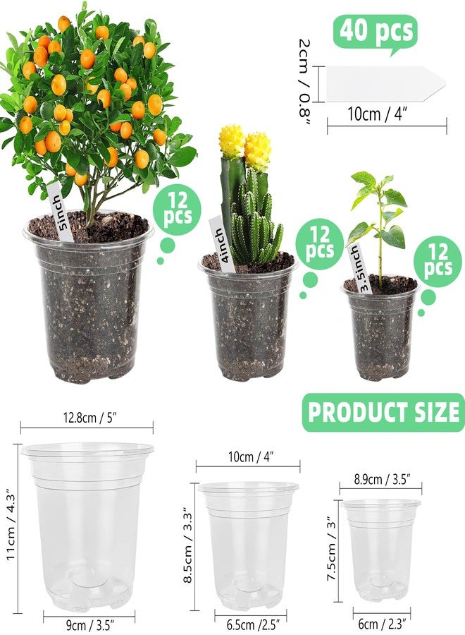 LOCONHA Clear Nursery Pots for Plants, 36 Packs 5/4/3.5 Inch Plant Pot for Planting Plastic Seedling with Drainage Holes Seed Starter Flower High Transparency with 40 Labels - Image 2
