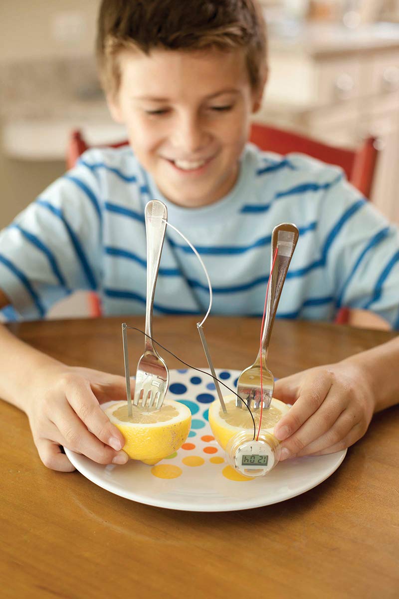 Toysmith ساعة تعمل بالطاقة الليمونية من 4M Kidzlabs، تجربة مختبر العلوم الكهربائية الكيميائية - هدايا تعليمية للأطفال والمراهقين، للبنات والأولاد 12 قطعة (عبوة من 1) - Image 5