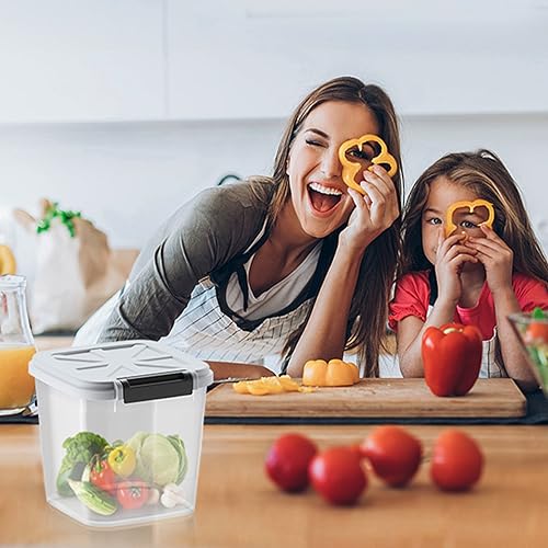 LivLab Flour Container - Rice Dispenser 10lbs/5kg/5.3qt Food Cereal Container Bins with Measuring Cup for Household Pantry Organization (10lbs) - Image 3