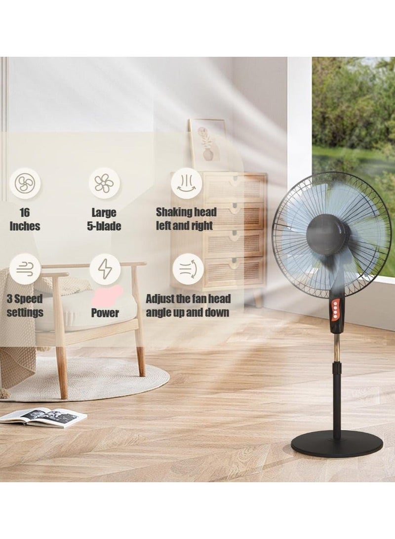Ruay Stand Fan, 45W, 3 Adjustable Speeds, for Perfect Room Temperature, Sleek Design, Black - Image 3