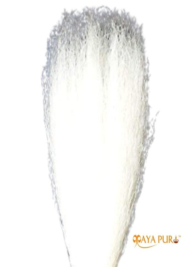 MAYAPURI Chawar for Puja Original or Chanwara/Chaur/Chavar Sahib in Metal Body/Sacred Fly Whisk, Brass Handle Length; 6 inches and Hair Length; 12 inches (Pack of 1) - Image 5