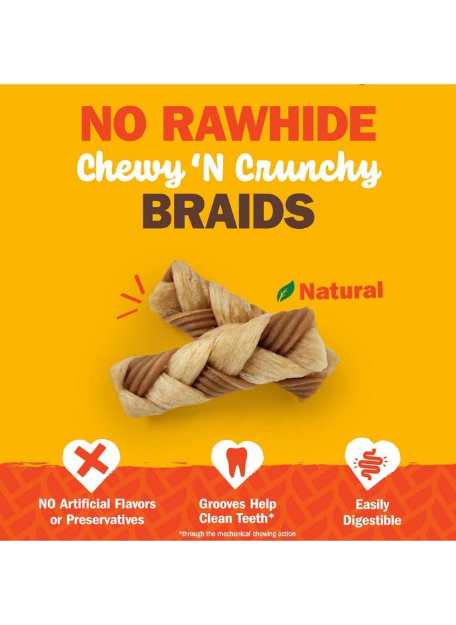 Cadet Cadet Chewalicious Chewy 'N Crunchy Braid Dog Treats, Limited Ingredient Rawhide-Free Dog Chews, Long-Lasting Made with Real Chicken, 7 Count (Pack of 1)  - Image 2