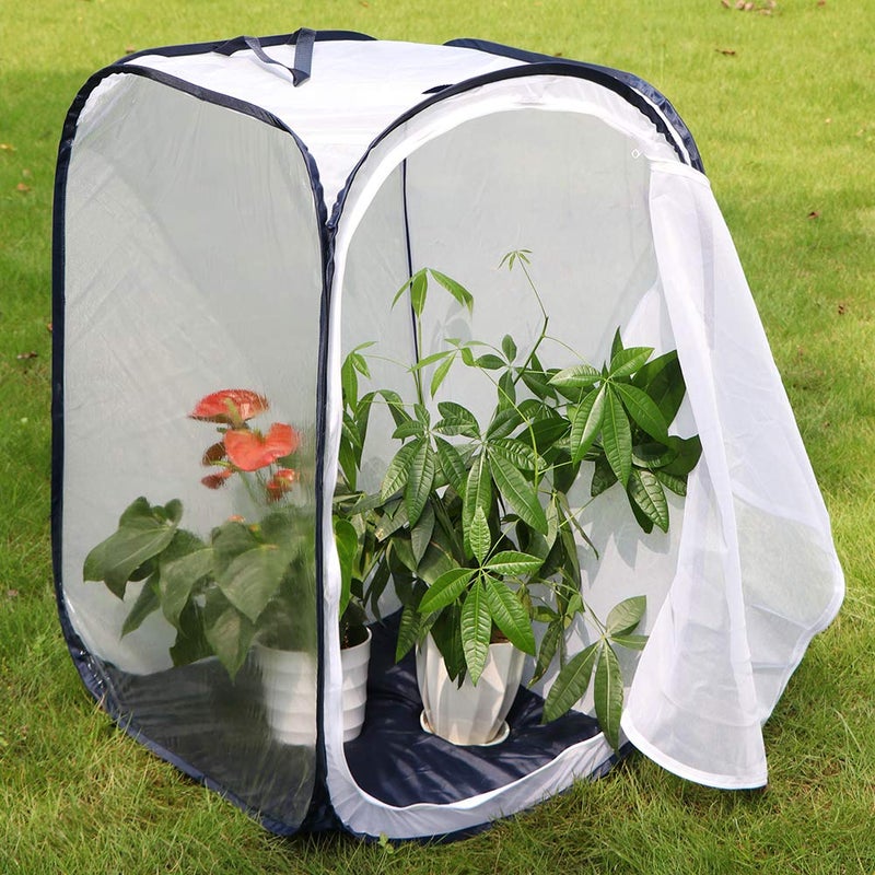 RESTCLOUD 36" Large Monarch Butterfly Habitat, Giant Collapsible Insect Mesh Cage Terrarium Pop-up 24 x 24 x 36 Inches - Image 4