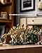 Nifeliz Stegosaurus Fossils Model Set Dinosaur Skeleton Building Set with Display Base for Adults Ideal Gift for Enthusiasts and Collectors 665 PCS NF10353 - Image 4