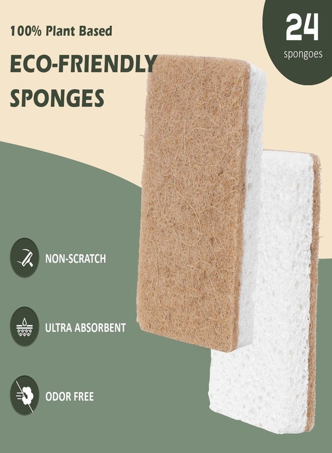Isshah Plant-Based Kitchen Sponges - Natural, Eco-Friendly, Biodegradable Sisal Hemp Sponges for Dishes, Cleaning Sponge for Kitchen, Bathroom, Household - 24 Count - Image 2