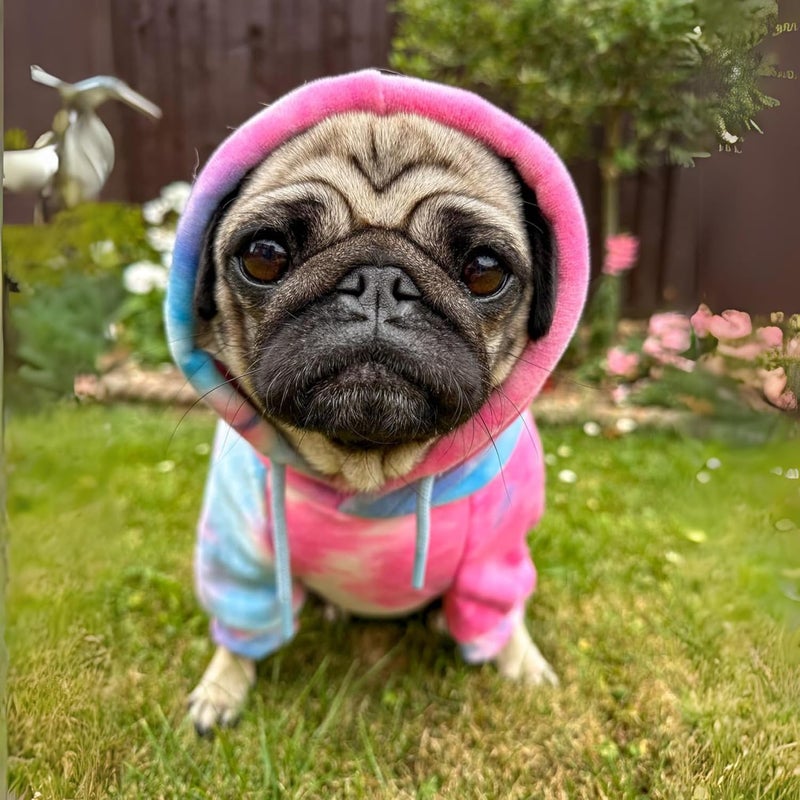 Spark Paws Dog Hoodie – Premium Dog Sweater for Small, Medium, and Large Dogs | Warm Outfits for French Bulldogs, Pitbull, Puppy, Winter Jacket Alternative - Snow Cone - XL - Image 4
