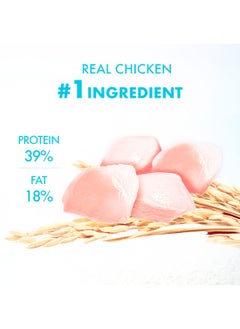 Purina ONE Purina One Purina - One Indoor Advantage with Chicken 2.7 kg  - Image 3