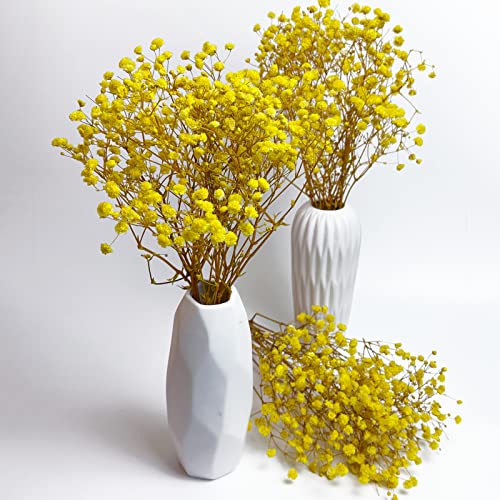 Birtlynn Preserved Baby's Breath 3 Bunches, 100% Natrual Fresh Gypsophila Long Lasting Flowers for Vase Arrangements Home Decoration Photo Props Parties and Weddings, DIY Décor-Yellow - Image 4