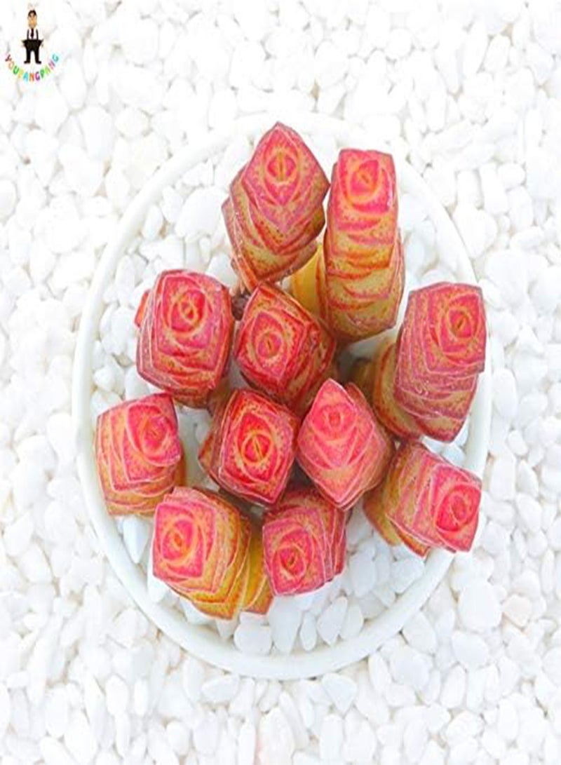 GGOOT New 200pcs Mini Succulent Lithops Plant Seeds for Gardening Dark Pink - Image 4