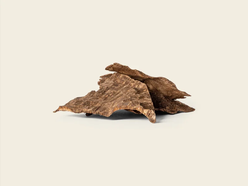 Mubkhar.  Mubkhar 2.0 Char BUKHOR  | Best Price UAE