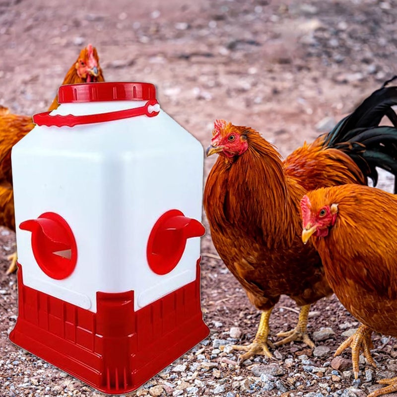 Leak-Proof Chicken Waterer Feeder with Stable Base Automatic Feeding for Poultry Chicken Waterer Feeder - Image 2