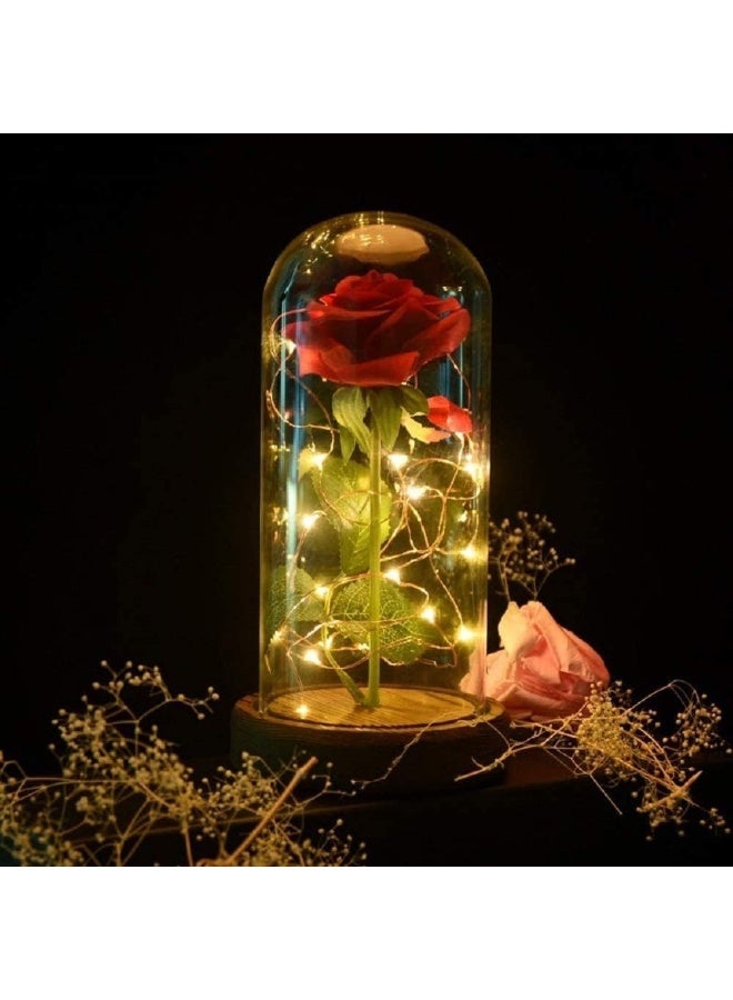 SW Preserved Rose Enchanted Rose Red Silk Rose in Glass Dome with LED Lights Pine Base Romantic Home Decor Gifts for Mom Women Valentines Day Christmas Mothers Day Wedding Anniversary Birthday - Image 5