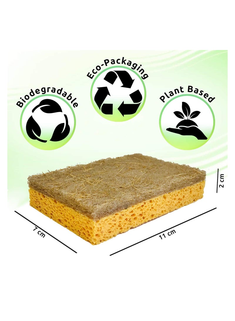 Excefore Natural Kitchen Sponges 10 Pack Plant Cleaning Pan Sponges - Image 2