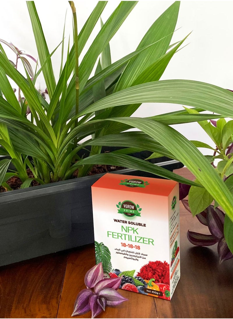 VGROW PRIME سماد NPK، قابل للذوبان في الماء، سماد نباتي لجميع الأغراض لجميع أنواع النباتات الخارجية والداخلية 450 جرام  - Image 3