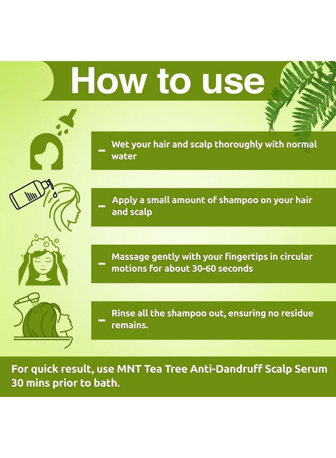 MNT Tea Tree Anti-Dandruff Shampoo 300 Ml | Removes Dandruff And Soothe Itchy Scalp | 50% Less Dandruff In Just 2 Weeks | Paraben & Sulfate Free Shampoo | For Men & Women - Image 3