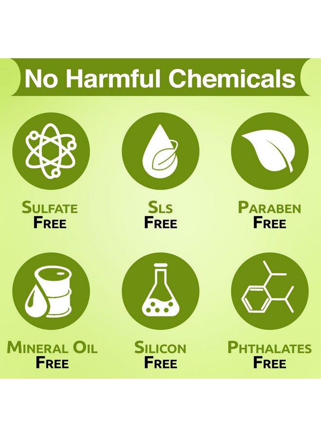 MNT Tea Tree Anti-Dandruff Shampoo 300 Ml | Removes Dandruff And Soothe Itchy Scalp | 50% Less Dandruff In Just 2 Weeks | Paraben & Sulfate Free Shampoo | For Men & Women - Image 2