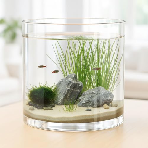 Maxdot 2.5 Gallon Cylindrical Glass Fish Tank Solid Base, 360° Full View Desktop Aquarium Starter, Easy to Maintain Small Microfauna for Betta Snails Shrimp Aquatic Planting and Small Plant Terrarium - Image 1