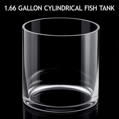Maxdot 2.5 Gallon Cylindrical Glass Fish Tank Solid Base, 360° Full View Desktop Aquarium Starter, Easy to Maintain Small Microfauna for Betta Snails Shrimp Aquatic Planting and Small Plant Terrarium - Image 5