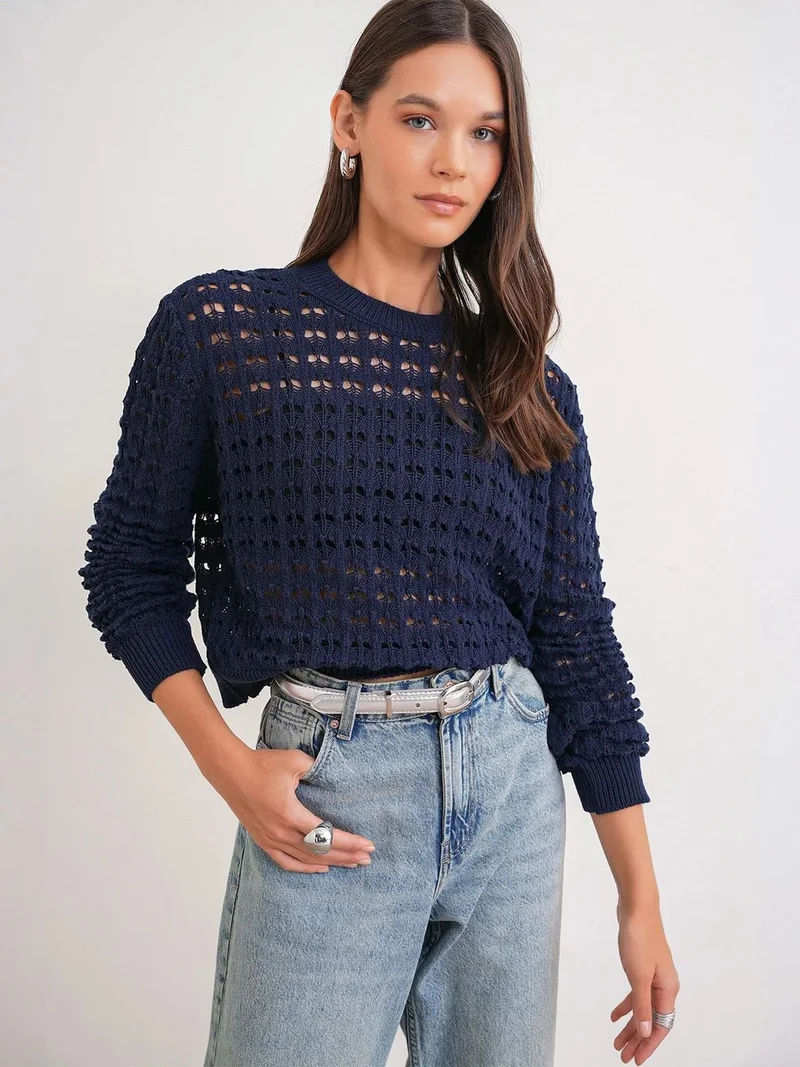 MixRay MIXRAY Textured Knit Relaxed Crop Sweater with Crew Neck