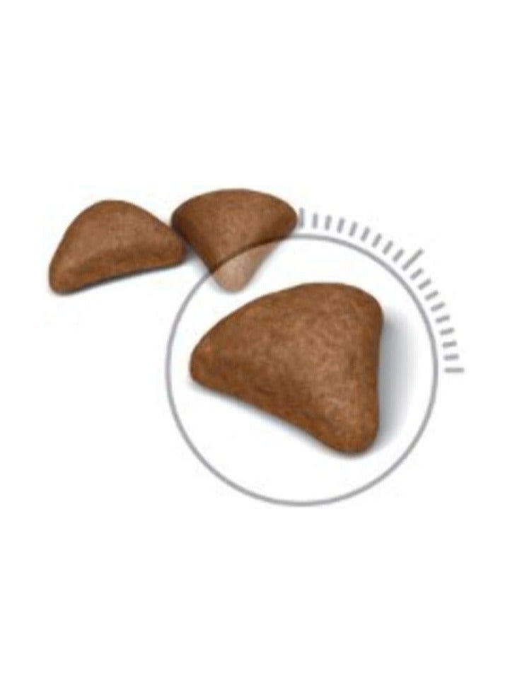 رويال كانين طعام القطط من رويال كانين FCN للعناية بكرة الشعر، 400 جم، تغذية القطط - Image 3