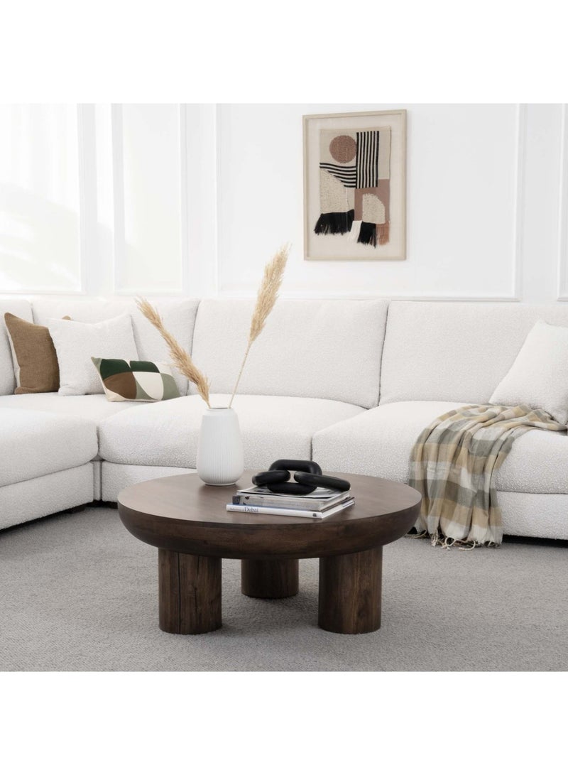 Pan Home Mansel Coffee Table Solid Wood - Brown - Image 3