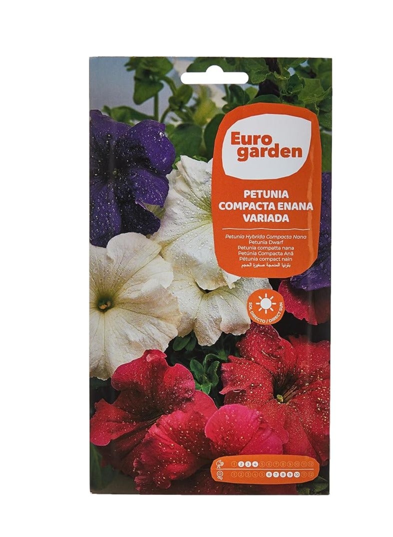 Euro Garden Euro Garden Petunia Dwarf Compact Mixed 