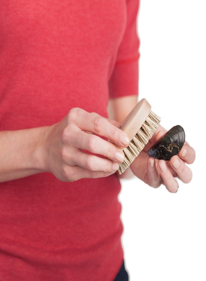 REDECKER Mussel Brush with Beechwood Handle, 3-3/4-Inches, Set of 2 - Brush for Scrubbing Mussels - Image 4