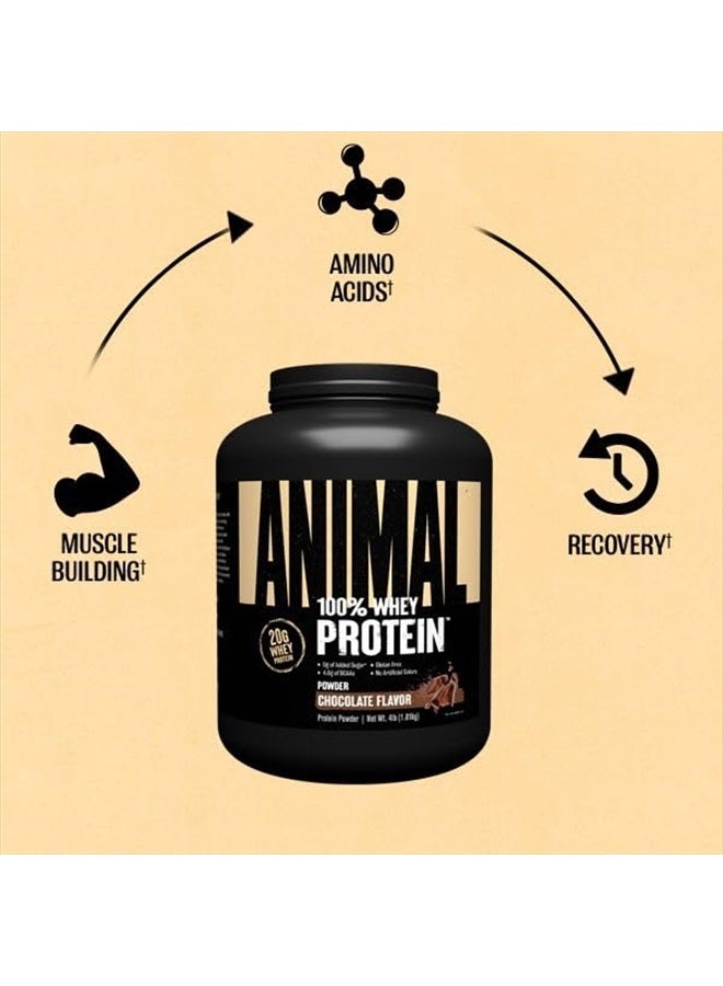 ANIMAL مسحوق بروتين مصل اللبن 100% - مزيج مصل اللبن قبل أو بعد التمرين، أو للتعافي أو لتعزيز البروتين في أي وقت - قليل السكر - شوكولاتة، 4 رطل (قد يختلف التغليف) - Image 4