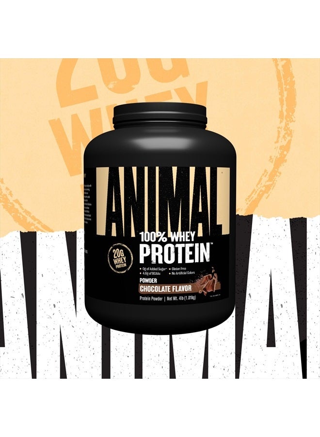 ANIMAL مسحوق بروتين مصل اللبن 100% - مزيج مصل اللبن قبل أو بعد التمرين، أو للتعافي أو لتعزيز البروتين في أي وقت - قليل السكر - شوكولاتة، 4 رطل (قد يختلف التغليف) - Image 3