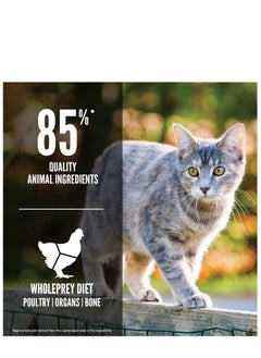 Orijen Original Cat Dry Food 1.8 kg cat and kitten  - Image 4