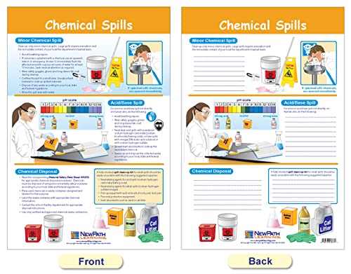 New Path Learning NewPath Learning Safety in The Lab Bulletin Board Charts, Set/8 - Laminated, Double-Sided, Full-Color, 12" x 18" (94-5601) - Image 4