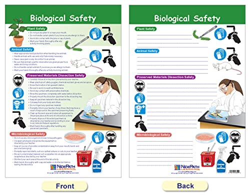 New Path Learning NewPath Learning Safety in The Lab Bulletin Board Charts, Set/8 - Laminated, Double-Sided, Full-Color, 12" x 18" (94-5601) - Image 3