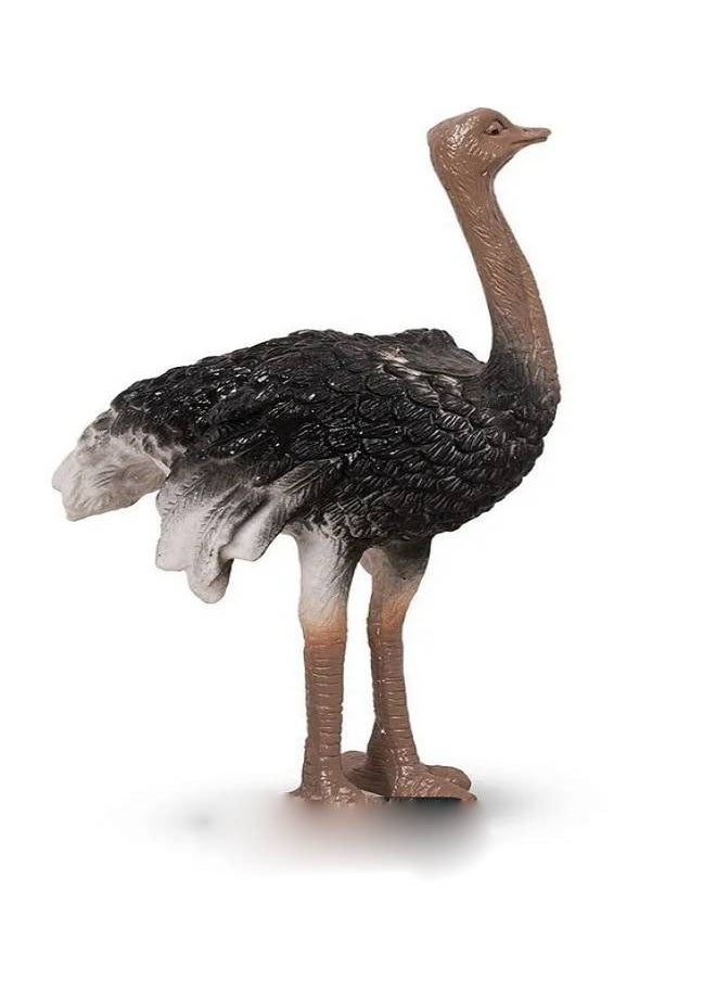 Generic - 4 Pcs Birds Figure - Where Your Child Learns to Distinguish Between Birds and Gains an Understanding of the Importance of Each Bird - Image 1