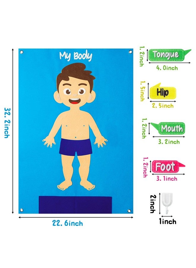 WATINC 35Pcs Body Parts Learning Felt Story Board Set Preschool Human Organ Educational Teaching Storytelling Early Learning Interactive Play Kit Wall Hanging Gift for Toddlers Kids 41 x 30 Inch - Image 2