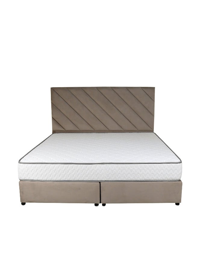 Bed and Mattress Zone Eleganza Upholstered Bed 200 X 160 Queen Size Muted Pink Color  - Image 1