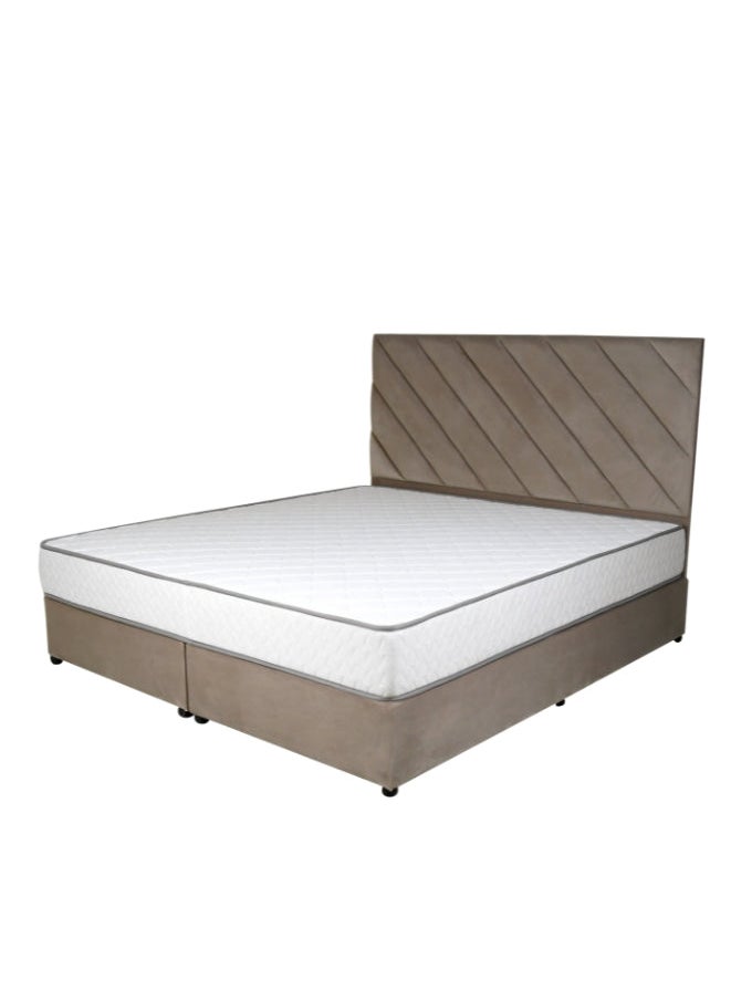 Bed and Mattress Zone Eleganza Upholstered Bed 200 X 160 Queen Size Muted Pink Color  - Image 2