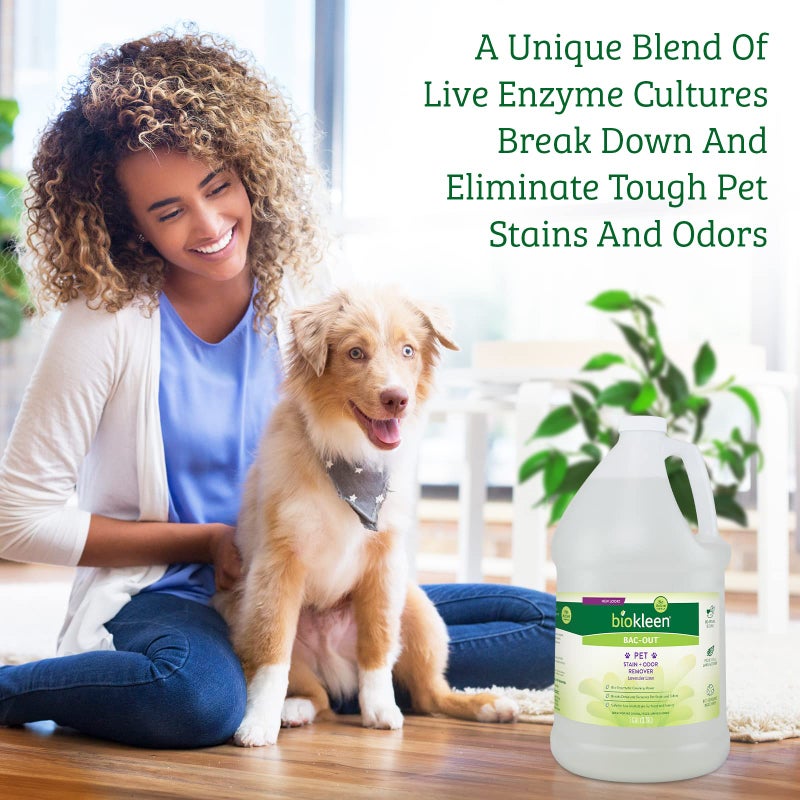 Biokleen Bac-Out Pet Stain Remover - Enzymatic, Natural, Plant-Based Destroys Stains & Odors, Safe for Surfaces & Fabrics, Carpet Cleaner - Eco-Friendly, Lavender Lime Scent, 1 Gallon - Image 3