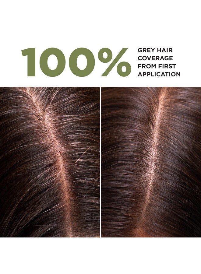Lazartigue La Couleur Absolue 1.00 Intense Black Permanent Haircolour With Botanical Extracts Nourishing Color And Shine Free From Ammonia Ppd Resorcinol Mineral Oils And Silicone Vegan - Image 2