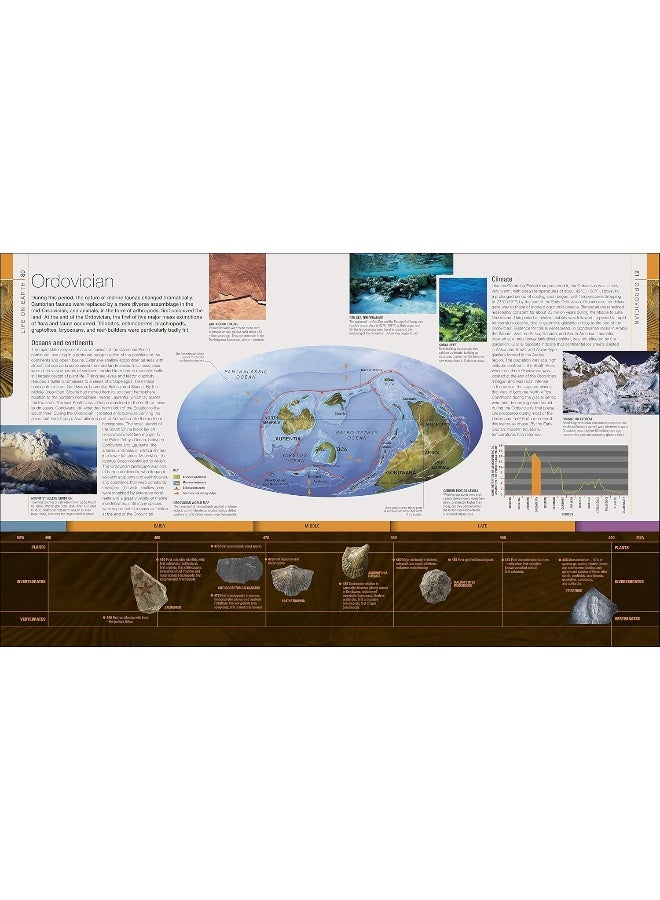 Dinosaurs and Prehistoric Life: The Definitive Visual Guide to Prehistoric Animals - Image 4