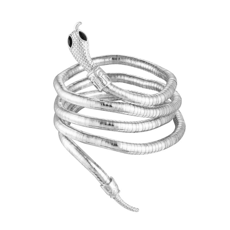 HTH Long Snake Necklace for Women Bendable Wrapping Snake Choker Necklace Bracelet Party Costume Accessories (Silver) - Image 1