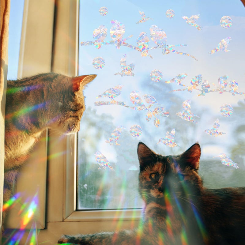 SHAWULA 72Pcs Birds Window Stickers Prevent Birds from Hitting Windows, Rainbow Sun Catcher Stickers No Glue Required, Non-Adhesive Reusable Vinyl Rainbow Stickers - Image 4