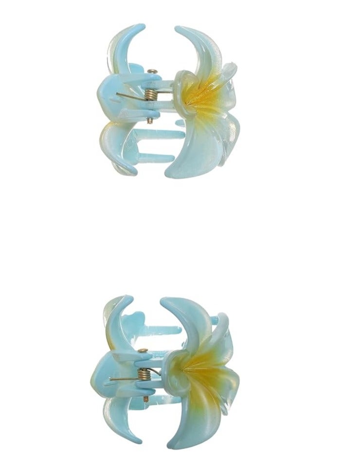 Generic Plastic Clip Tuk Set With Two Piece Rose Design - Image 1