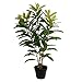 Vickerman TA181434 Green Myrtle Everyday Bush - Image 2