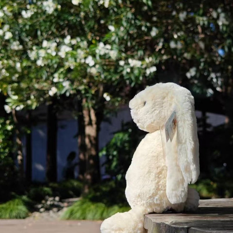 Shy Bunny Plush Toy - Long Ear Rabbit Stuffed Animal - Image 5