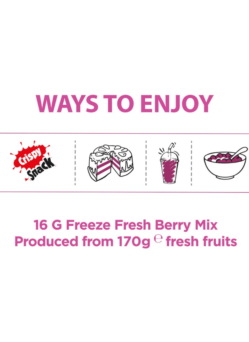 Pol's Freeze Fresh Dried Berry Mix 16g - Image 3