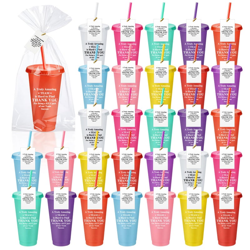 Skylety 30 Pcs End of The Year Graduation Appreciation Gift Bulk 24 oz Plastic Tumbler Cup with Lids Straws Thank You Cup Bulk for Nurse Volunteer Coworker Cna Week GiftsGratefulAssorted Colors - Image 2